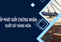 CẤP CHỨNG NHẬN XUẤT XỨ HÀNG HÓA (C/O)